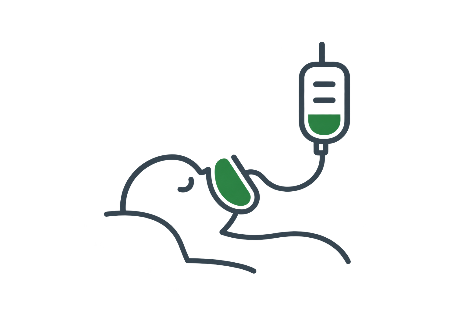Emergency / Anaesthetist